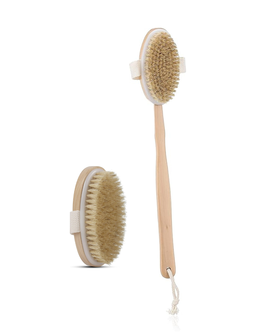 Two dry brushes with natural bristles on a white background